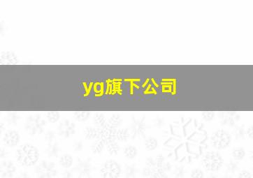 yg旗下公司