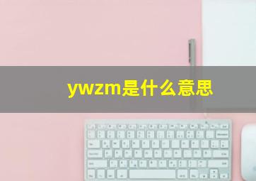 ywzm是什么意思