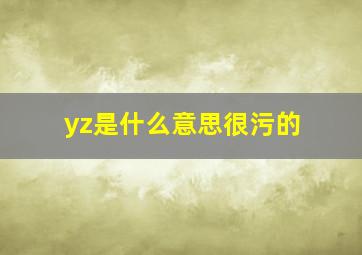 yz是什么意思很污的