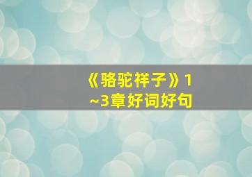 《骆驼祥子》1~3章好词好句