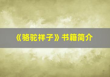 《骆驼祥子》书籍简介