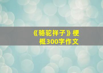 《骆驼祥子》梗概300字作文