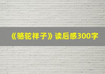 《骆驼祥子》读后感300字