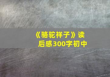 《骆驼祥子》读后感300字初中