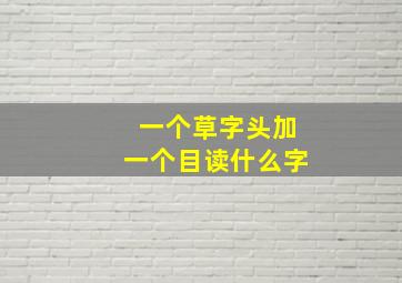 一个草字头加一个目读什么字