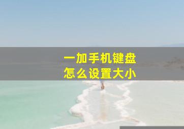 一加手机键盘怎么设置大小