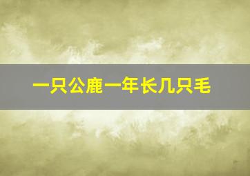 一只公鹿一年长几只毛