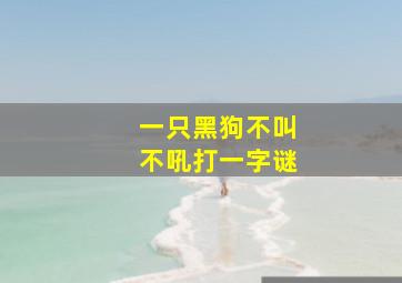 一只黑狗不叫不吼打一字谜