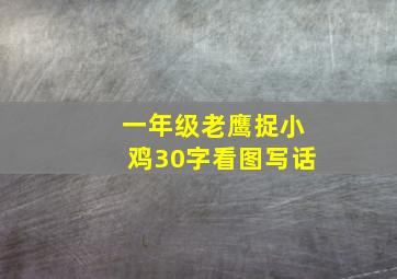 一年级老鹰捉小鸡30字看图写话