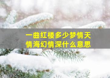 一曲红楼多少梦情天情海幻情深什么意思