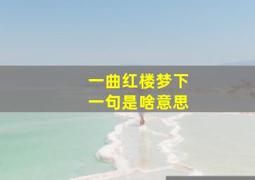 一曲红楼梦下一句是啥意思