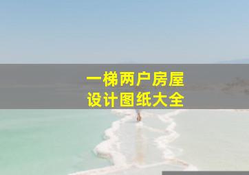 一梯两户房屋设计图纸大全