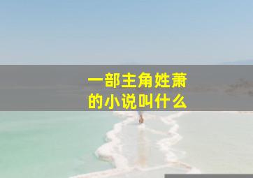 一部主角姓萧的小说叫什么