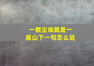 一颗尘埃就是一座山下一句怎么说