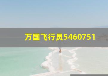 万国飞行员5460751