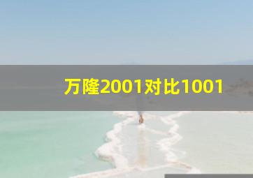 万隆2001对比1001