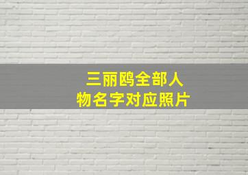 三丽鸥全部人物名字对应照片