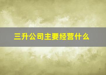 三升公司主要经营什么