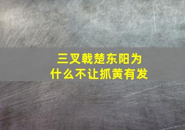 三叉戟楚东阳为什么不让抓黄有发