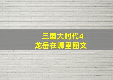 三国大时代4龙岳在哪里图文