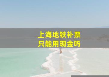 上海地铁补票只能用现金吗