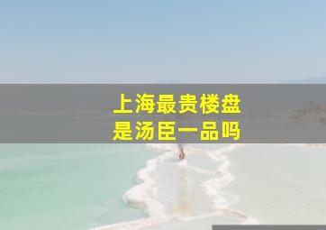 上海最贵楼盘是汤臣一品吗