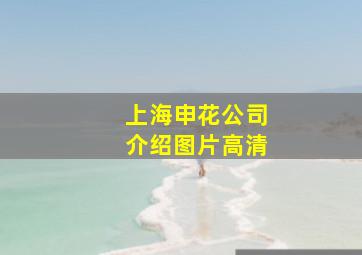 上海申花公司介绍图片高清