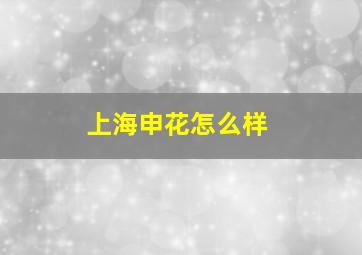 上海申花怎么样