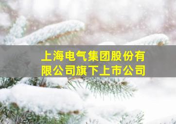 上海电气集团股份有限公司旗下上市公司