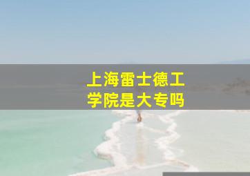 上海雷士德工学院是大专吗