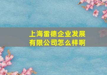 上海雷德企业发展有限公司怎么样啊