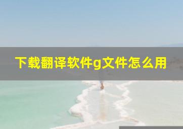 下载翻译软件g文件怎么用