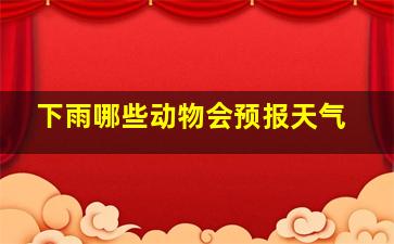 下雨哪些动物会预报天气