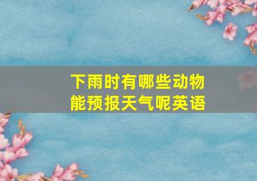 下雨时有哪些动物能预报天气呢英语