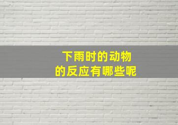 下雨时的动物的反应有哪些呢