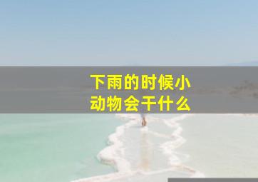 下雨的时候小动物会干什么