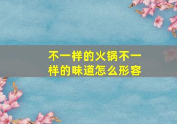 不一样的火锅不一样的味道怎么形容