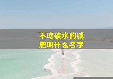 不吃碳水的减肥叫什么名字