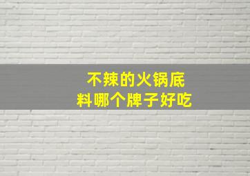 不辣的火锅底料哪个牌子好吃