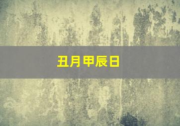 丑月甲辰日