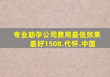 专业助孕公司费用最低效果最好1508.代怀.中国