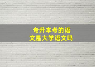 专升本考的语文是大学语文吗