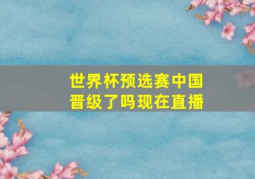 世界杯预选赛中国晋级了吗现在直播