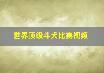 世界顶级斗犬比赛视频