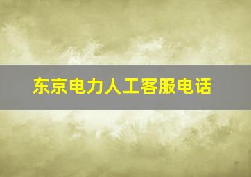 东京电力人工客服电话