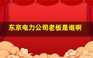 东京电力公司老板是谁啊