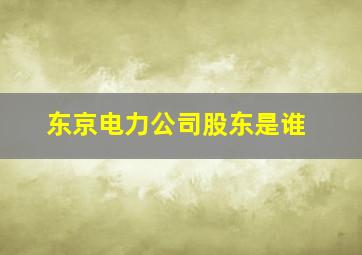 东京电力公司股东是谁