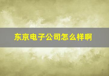 东京电子公司怎么样啊