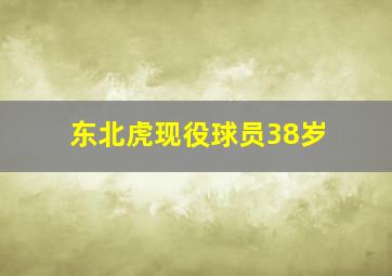 东北虎现役球员38岁