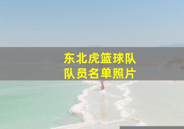 东北虎篮球队队员名单照片